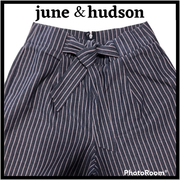 june & hudson Ankle Length Pants Pinstriped Blue Blush Tie Waist Back Zipper - Picture 2 of 10